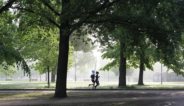 Comment bien choisir ses disciplines pour un entraînement multisport
